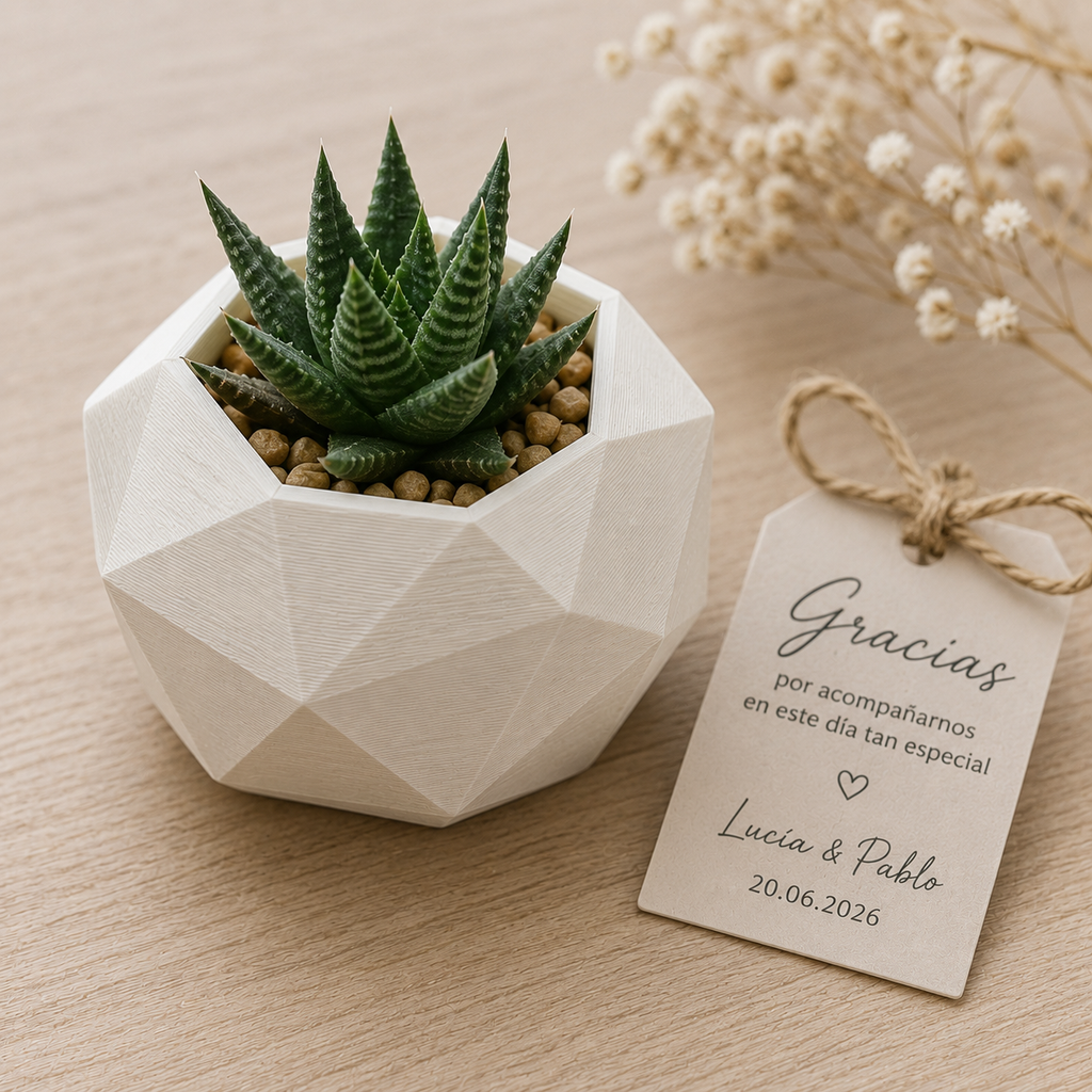 EcoLove: Maceta Decorativa para Invitados de Boda