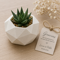EcoLove: Maceta Decorativa para Invitados de Boda